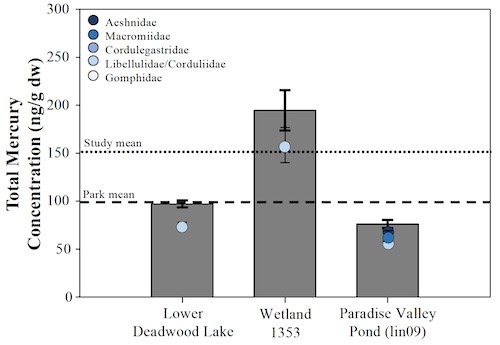 Total Mercury Concentrations for three locations in Mount Rainier NP. A bar graph of total mercury concentrations for three locations: lower deadwood lake, with 100 ng/g, the park mean; wetland 1353, with almost 200 ng/g, higher than the study mean; and Paradise valley pond, with 76 ng/g, under the park mean.