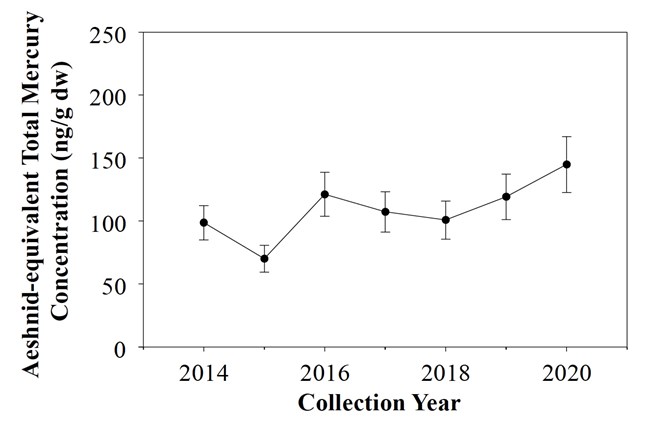 Mercury concentrations per collection year. Line graph of total mercury concentrations per collection year, 2014-2020.