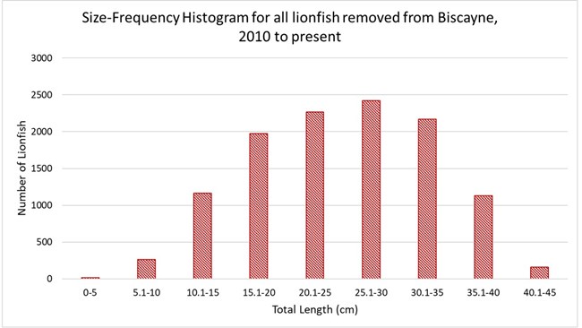 A bar graph showing a size-frequency histogram for all lionfish removed from 2010 to present. The y axis shows number of lionfish from 0 to 3000 and the x axis shows total length in centimeters from 0-5cm to 40.1-45cm