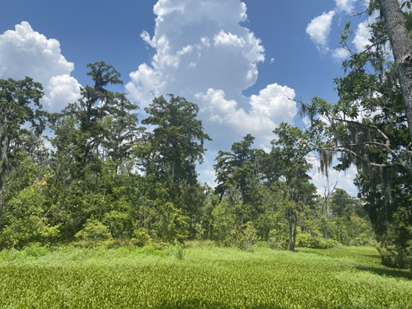 A view of the Education Center at Jean Lafitte National Park and Preserve