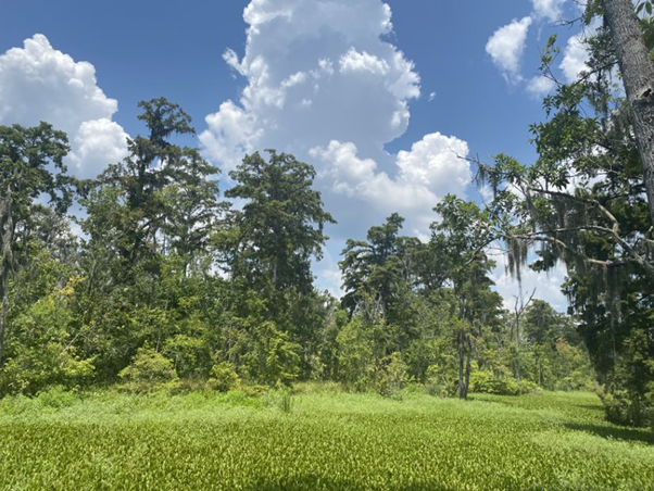 A view of the Education Center at Jean Lafitte National Park and Preserve A view of the Education Center at Jean Lafitte National Park and Preserve