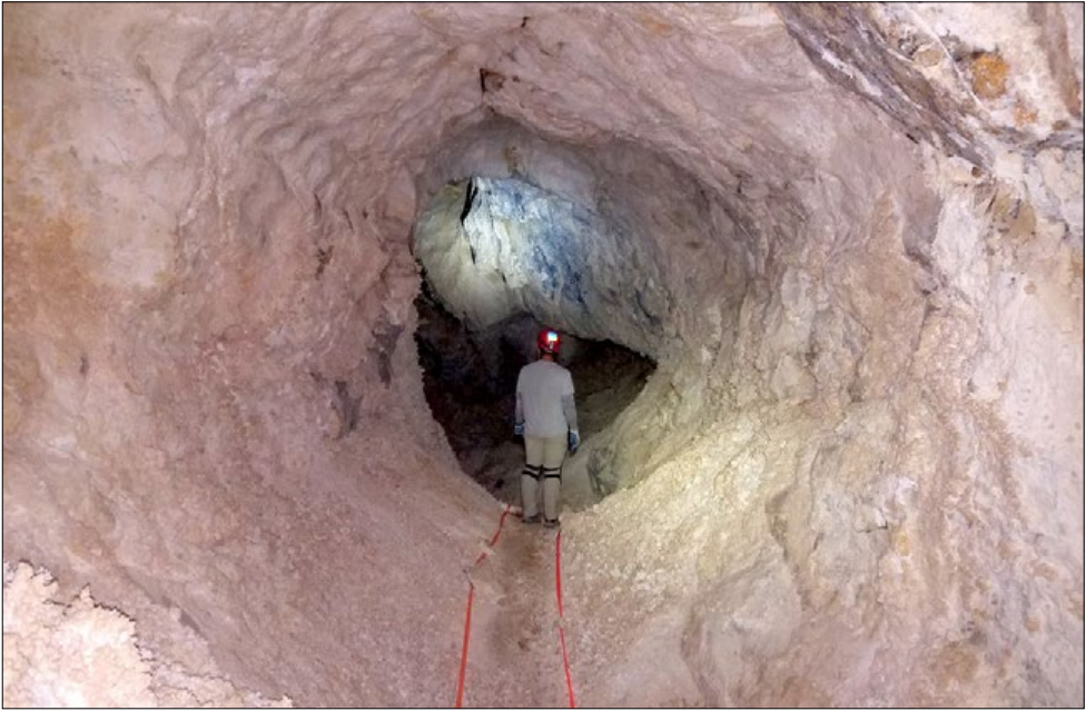 A staff member standing in an oval shaped passage of the Gypsum Annex in a part that has a Gypsum Crust