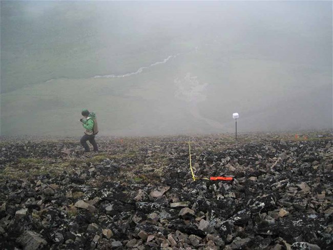 A researcher stands on a steep talus slope above the fog.