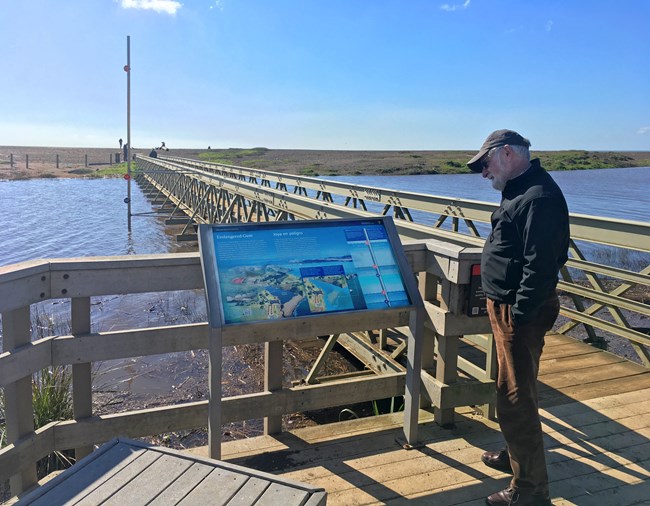 Person reading an interpretive sign in front of post in the water of a beachside lagoon.