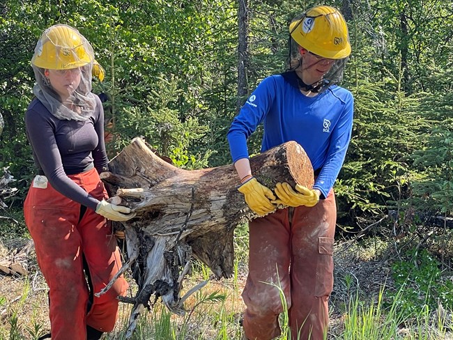 Two women in wildland firefighter gear carry a tree stump between them