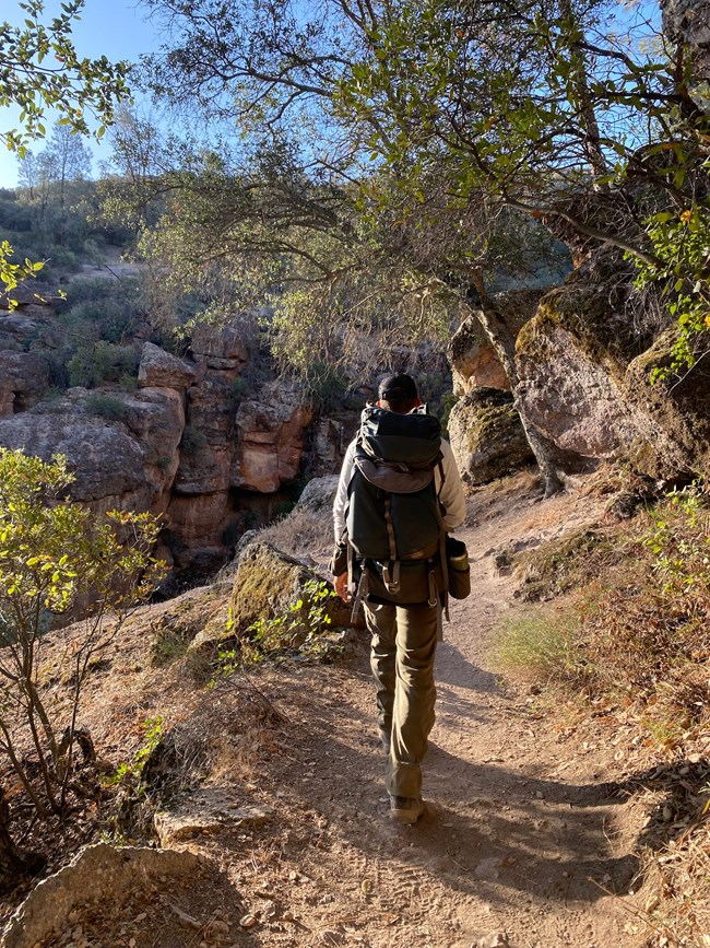 Biologist hiking with large backpack in early morning sun 