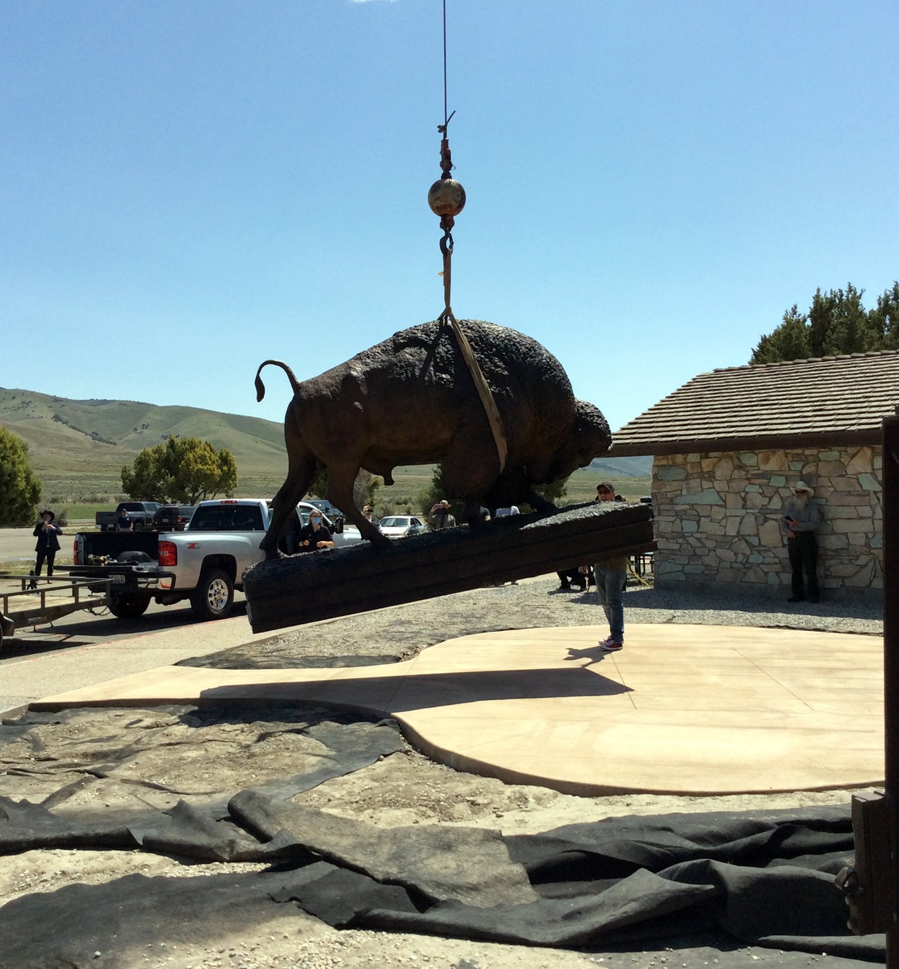 3,000 lb bison sculpture being placed in front of building by a crane