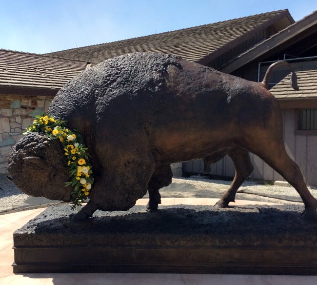 Life size sculpture of a bison in front of building