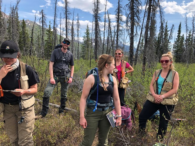 Teachers from Alaska listen to a presentation by Regional Fire Ecologist Jennifer Barnes at a Project Learning Tree workshop in Denali National Park & Preserve Several people stand outdoors in a forested area