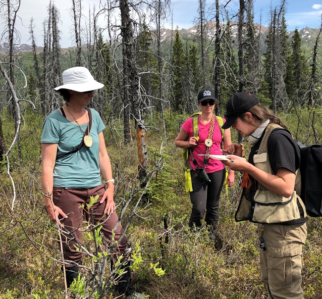Several teachers from Alaska listen to a presentation by Regional Fire Ecologist Jennifer Barnes at a Project Learning Tree workshop in Denali National Park & Preserve Three people stand outdoors in a forested area.