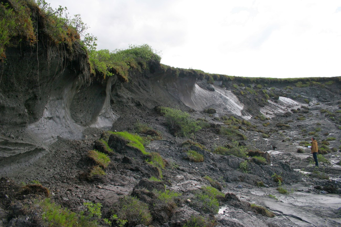 A scientist examines the scarp of an active layer detachment.