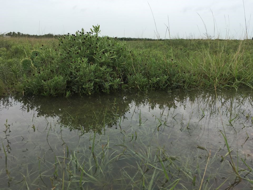 Hydrology at Palo Alto Battlefield (U.S. National Park Service)