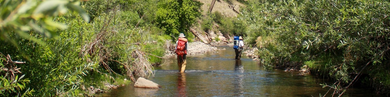 Two men walk in a river wearing backpacks. One backpack is a surveying tool with a long pole attached by a hose.