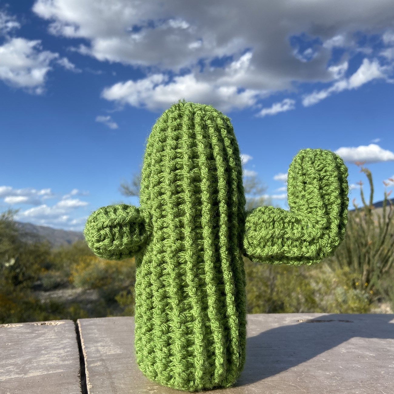 A green crochet saguaro with two arms sits in front of a cloudy sky and desert scenery.