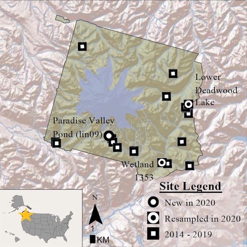 Dragonfly Mercury Project sample locations. A map of Mount Rainier National Park with black circles marking locations new in 2020, white circles resampled locations and squares for locations sampled in 2014-2019.