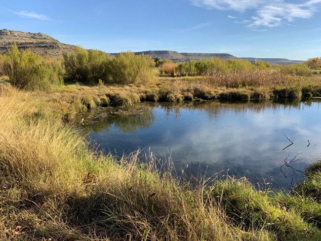 Pond surrounded by brown grass and shrubs with a mesa in background