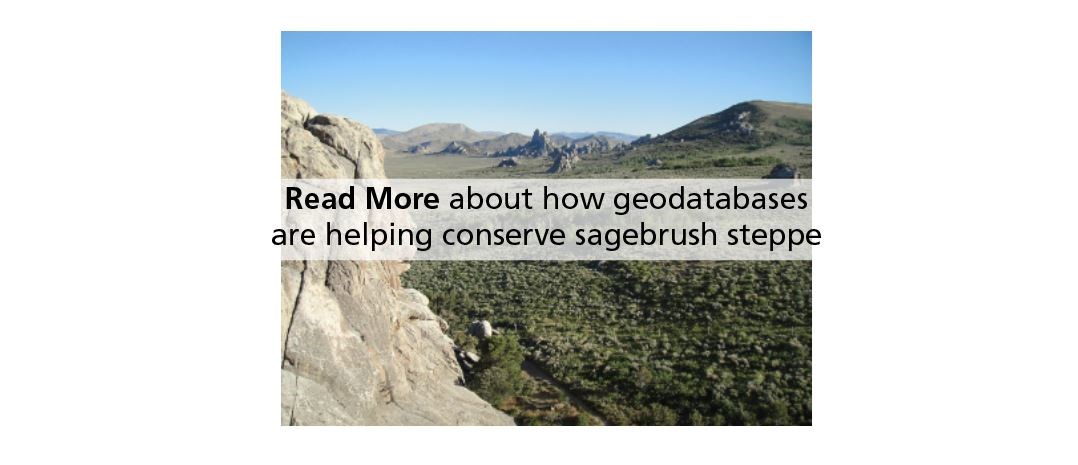 Click here to Read More about how geodatabases are helping conserve sagebrush steppe
