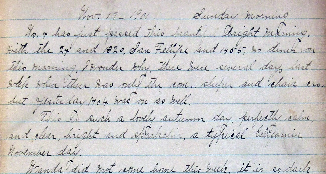 Handwritten manuscript journal dated Sunday morning, Nov. 17, 1901