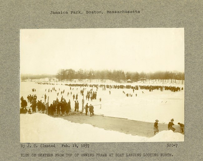 Black and white photograph of many black blobs of people skating on a white patch of ice. Between the two sides of the ice are chunks of snow, and trees.