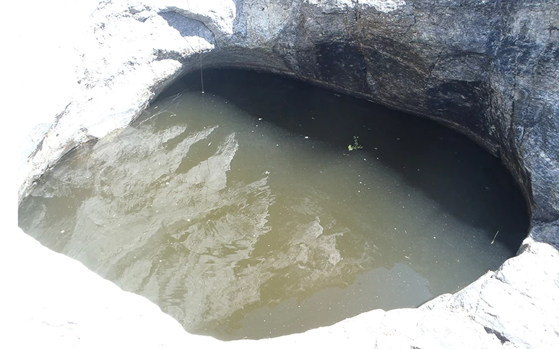 Javelina Tank tinaja A small murky pool of water in a bedrock depression.