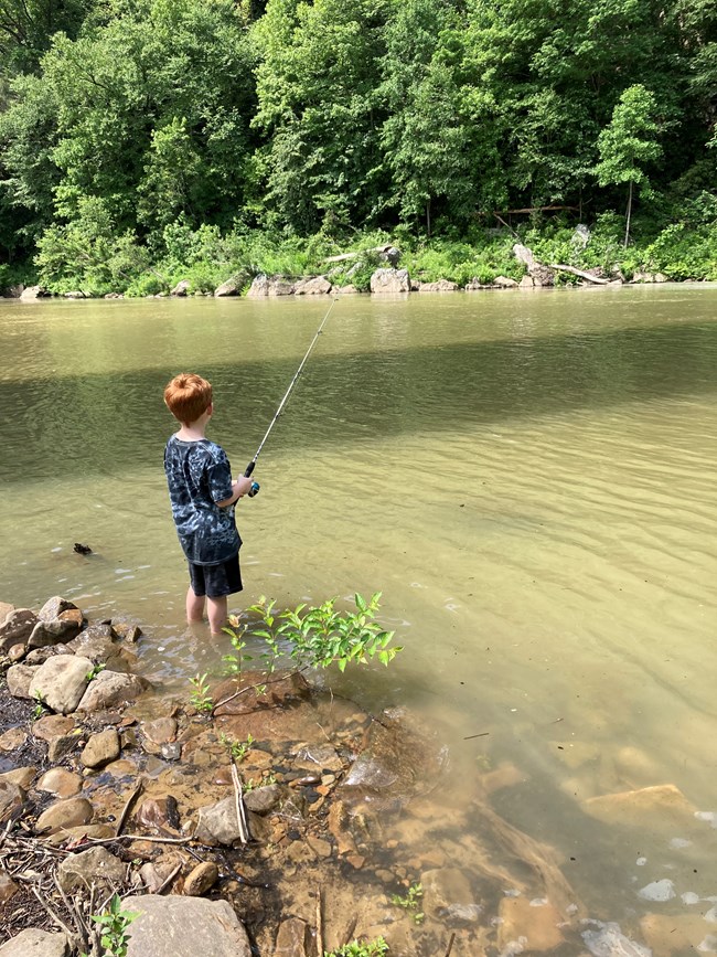 A fishing rod stands on the bank of a small river in the summer