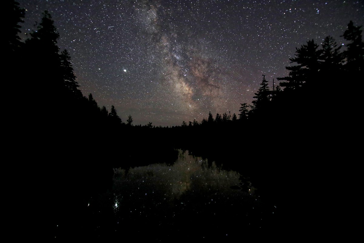 Acadia S Wildlife Need Dark Skies U S National Park Service