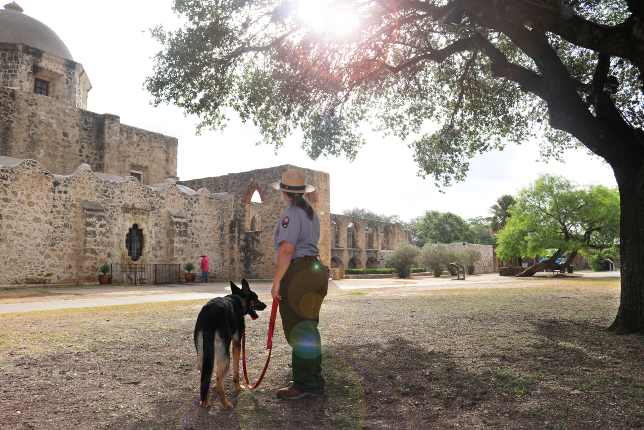 Dog and park ranger Dog and park ranger Looking at Church