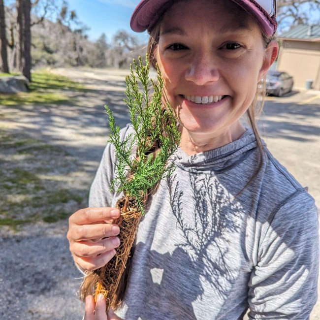 Closeup photo of a woman holding a giant sequoia seedling and smiling.