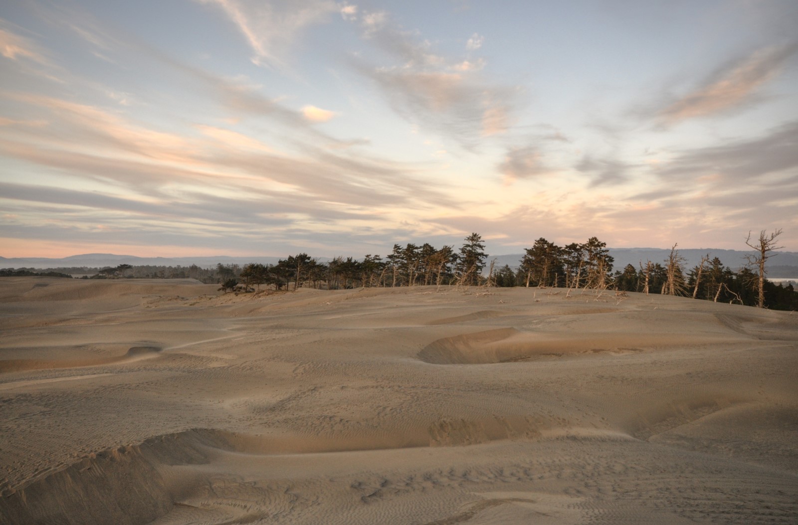 High Plateaus, Smelly Caverns, and Coastal Dunes, Meet the Nation’s