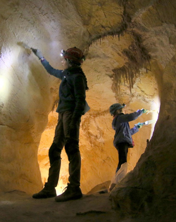 Two volunteers removing lint from the walls of the place called the Giant's Ear in Lehman Caves