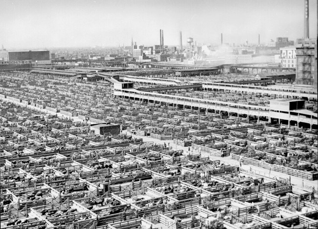 The maze of livestock pens and walkways at the Union Stock Yards, Chicago, Illinois, USA The maze of livestock pens and walkways at the Union Stock Yards, Chicago, Illinois, USA