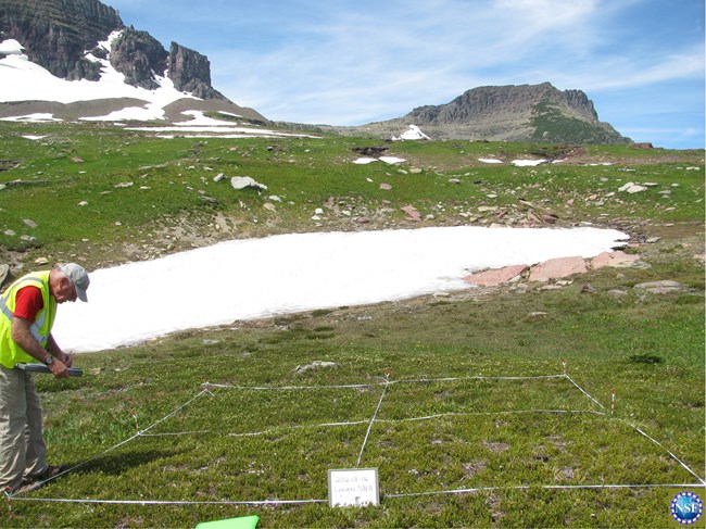 A person with a clipboard next to a grid on alpine vegetation. A mountainous landscape in the background.