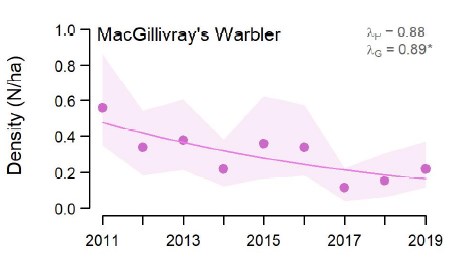 Graph showing declining trend in density (number birds per hectare) for MacGillrivary's Warbler between 2011 and 2019.