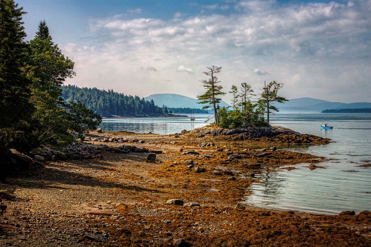 Landscape photo of shoreline at low tide with a small island thick with trees in middle distance, a lobster boat steaming across an inlet, and a mountain range in the distance