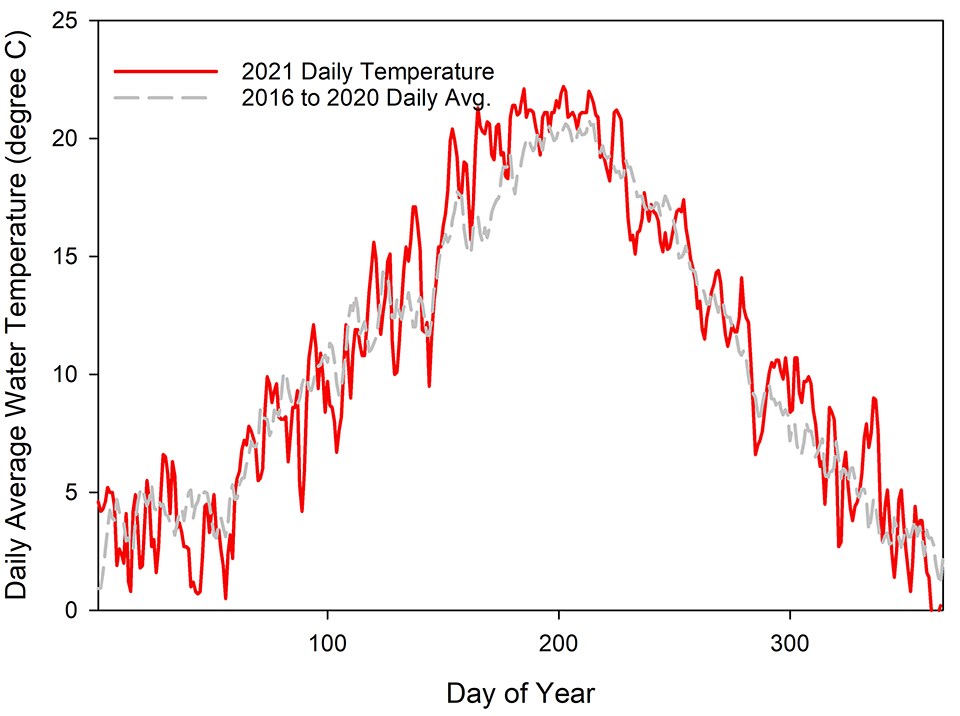 A line graph of daily water temperature in 2021 compared to the average for 2016 to 2020. Water temperatures were warmer in 2021 than the average from the previous five years.