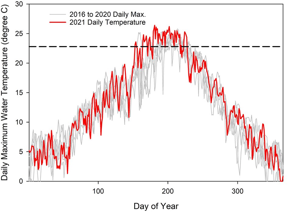 A line graph of daily maximum water temperature showing that the 2021 temperatures were above the average in the previous five years.