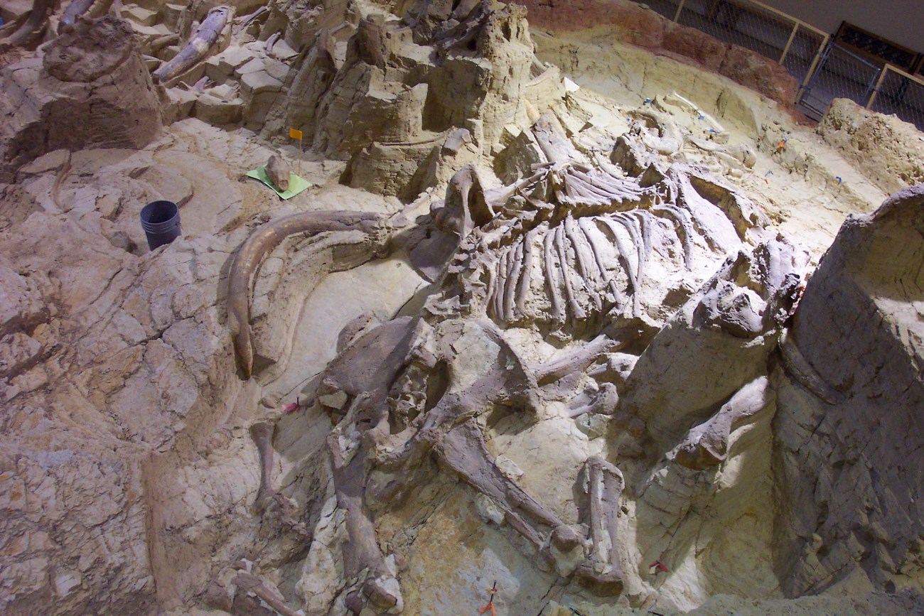 Mammoth_Site_Hot_Springs Photo of a mammoth fossil quarry