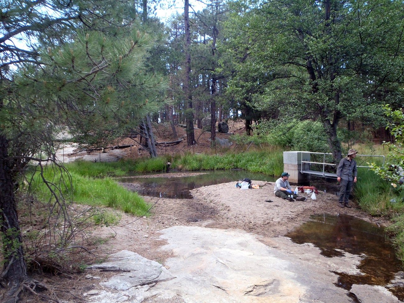 Two people next to a springbox and pump on a sand bar between shallow pools of water in a conifer forest.