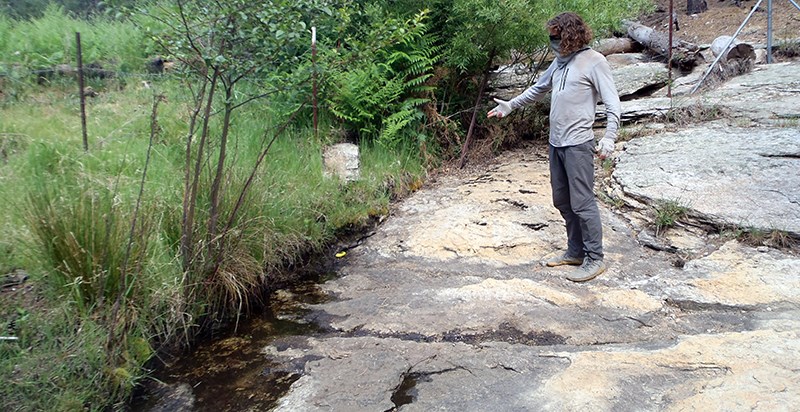 A person pointing at a narrow trickle of water on a bedrock base adjacent to dense grasses and saplings.