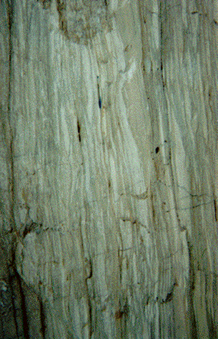 Close up of marble rock