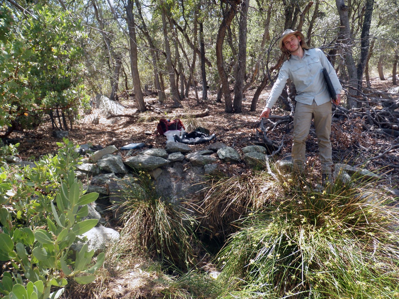 A person pointing towards a pool in a depression lined by rock and sedges in a forest.