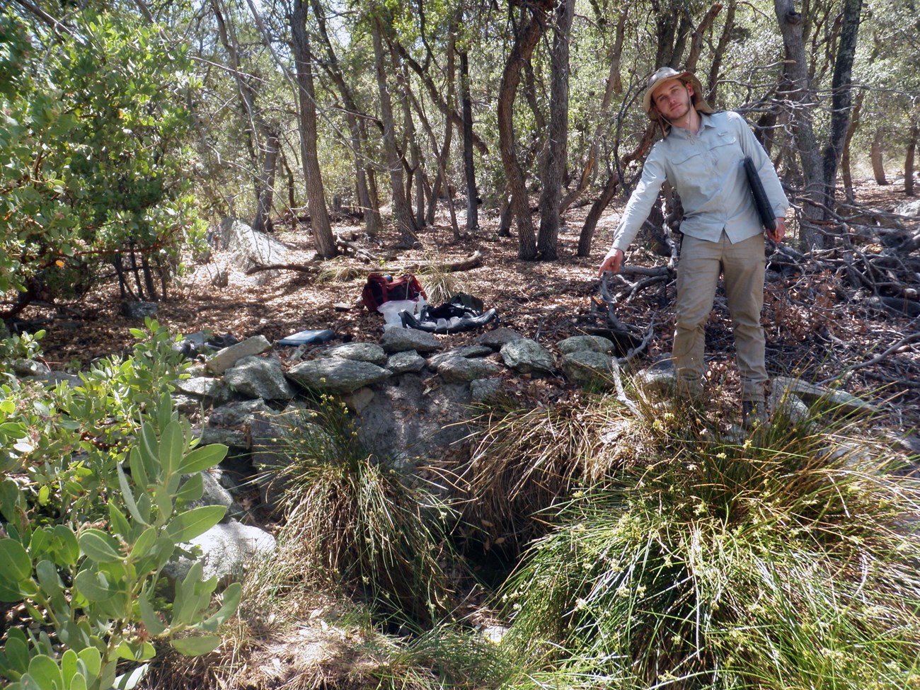 Mud Hole Spring A person pointing towards a pool in a depression lined by rock and sedges in a forest.