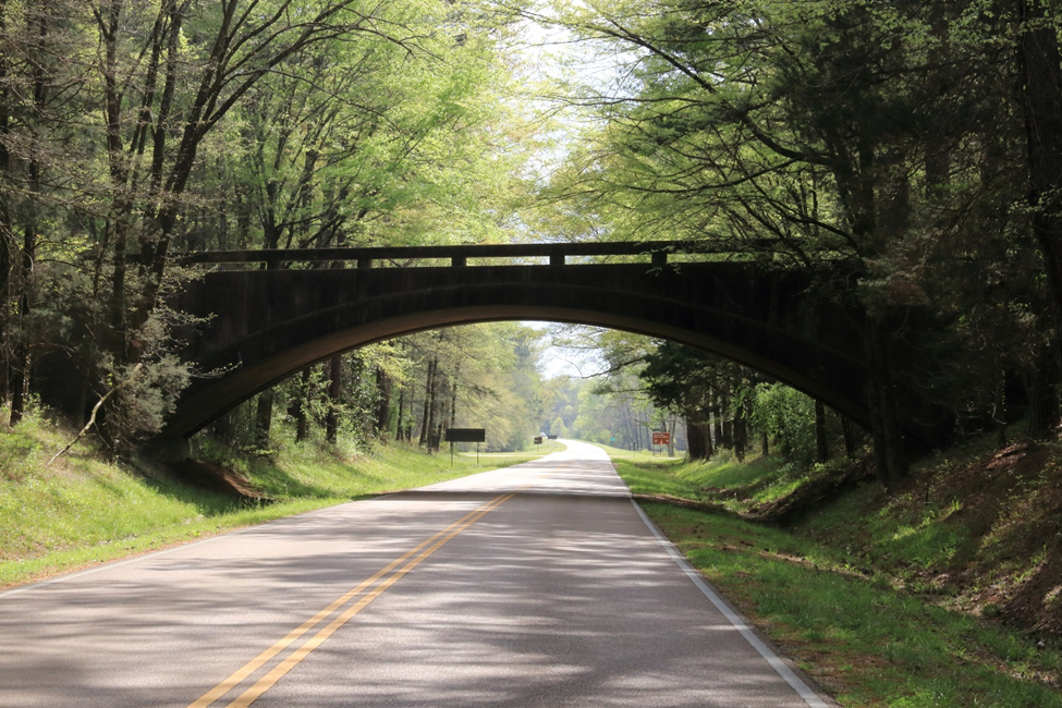An empty two-lane paved road covered in shadow. The road is lined with green trees and grass. A small arched bridge spans over the road.