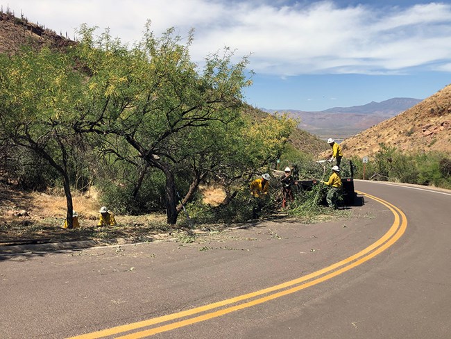 Staff reduce fuels along the AZ-188 Highway corridor