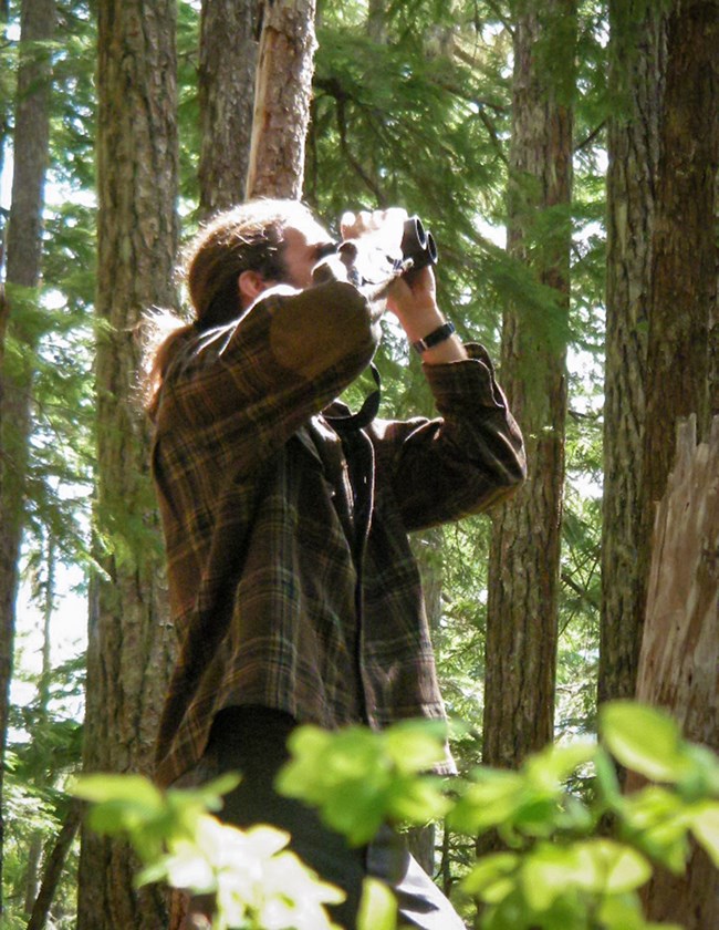 Scientist with a ponytail and binoculars looks up into the forest canopy.