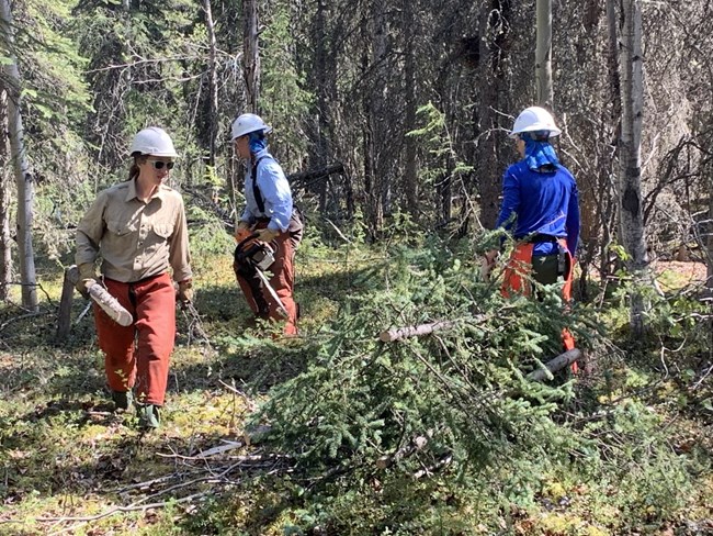 3 women in protective gear move brush into a pile