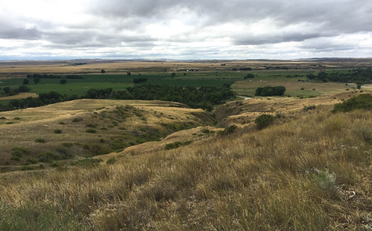 Protecting Native Mixed Grass Prairie At Little Bighorn Battlefield National Monument U S National Park Service