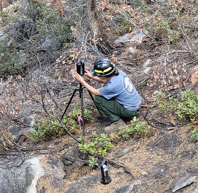 Staff use terrestrial Lidar device to measure forest conditions after a prescribed fire