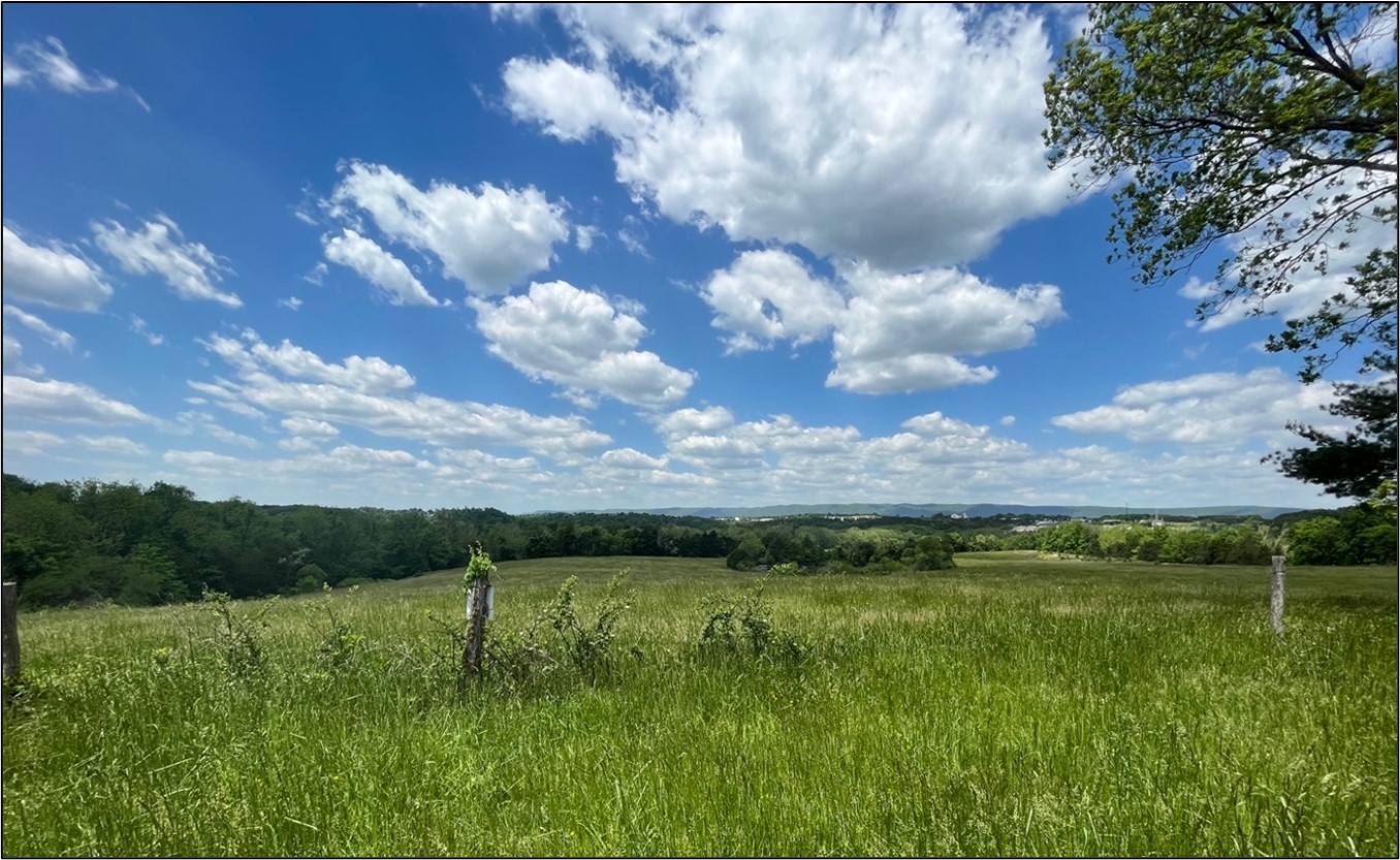 Condition of Selected Natural Resources at Cedar Creek & Belle Grove