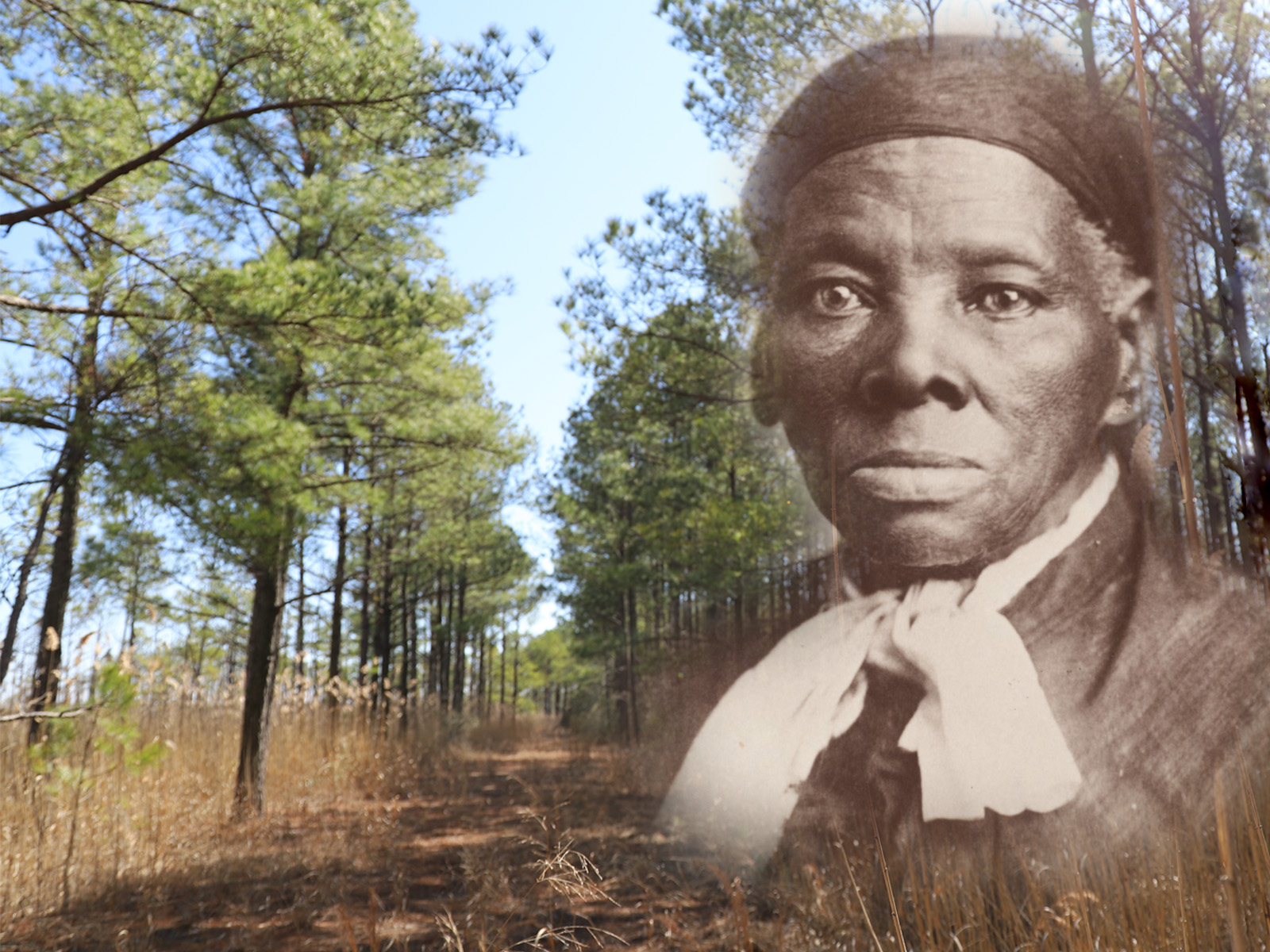 Eastern Shore, Harriet Tubman: Visions of Freedom